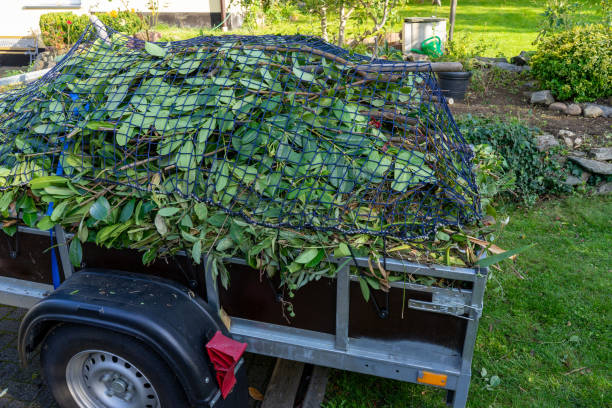 Best Furniture Removal  in West Ack, NY